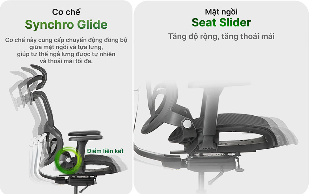 Ghế Ergonomic ERG01