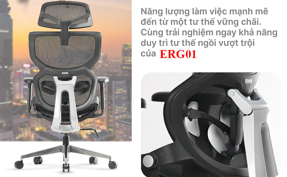 Ghế Ergonomic ERG01