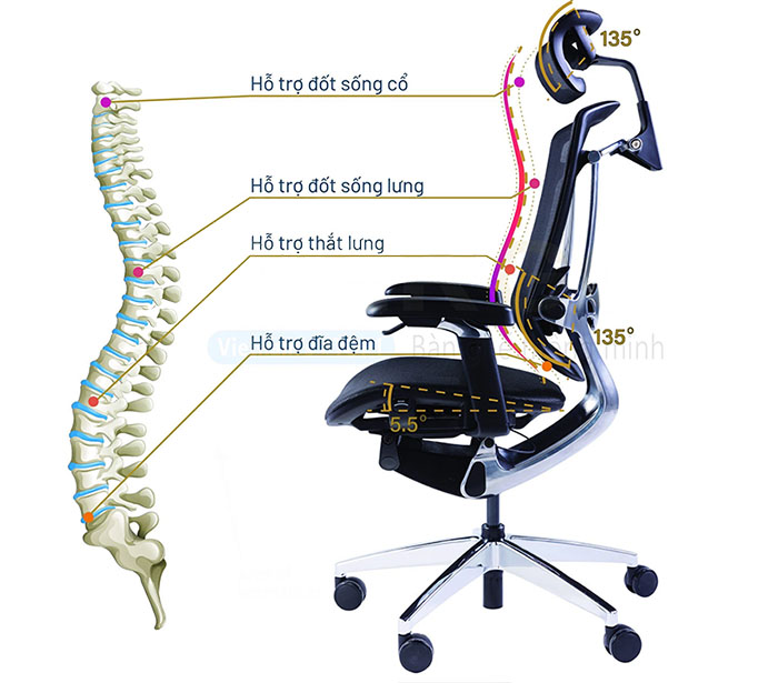 Ghế Ergonomic ERG02