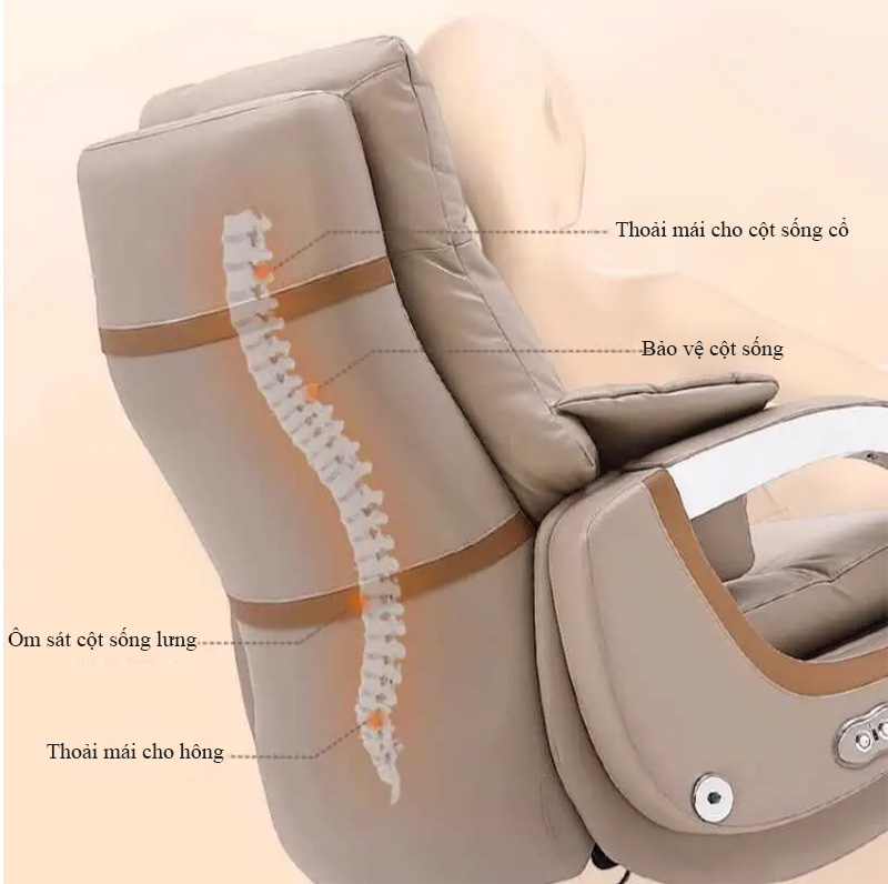 Cấu trúc lưng nâng đỡ đốt sống