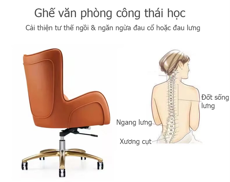 Ghế QUEENCHAIR-01 chuẩn công thái học