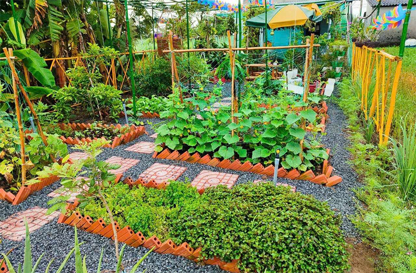 Thiết kế sân có vườn rau xanh mát