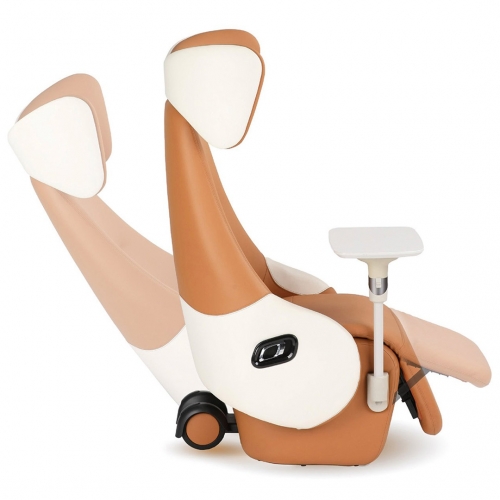 Ghế Recliner 01