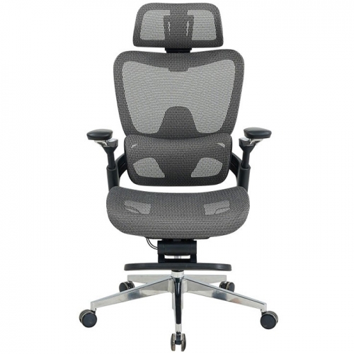 Ghế công thái học GLE24