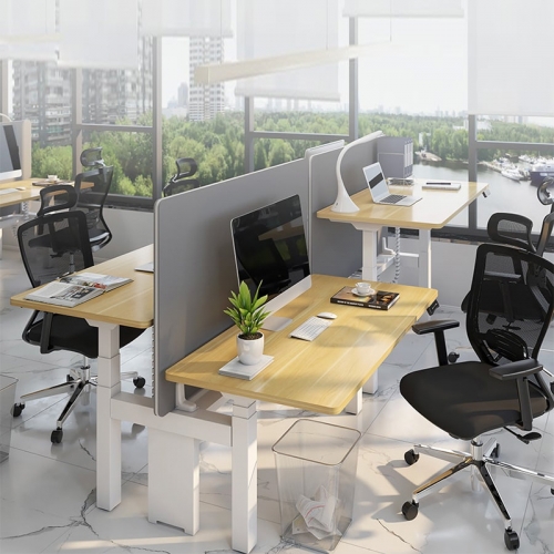 Bàn nâng hạ đôi BNH111-2