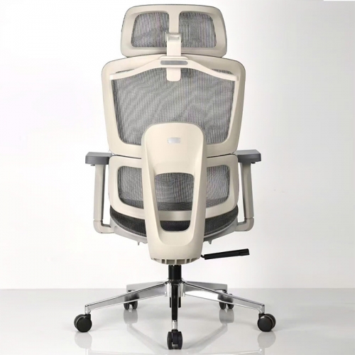 Ghế công thái học A548