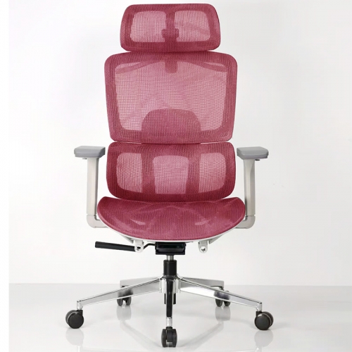 Ghế công thái học A548