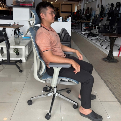 Ghế công thái học A548