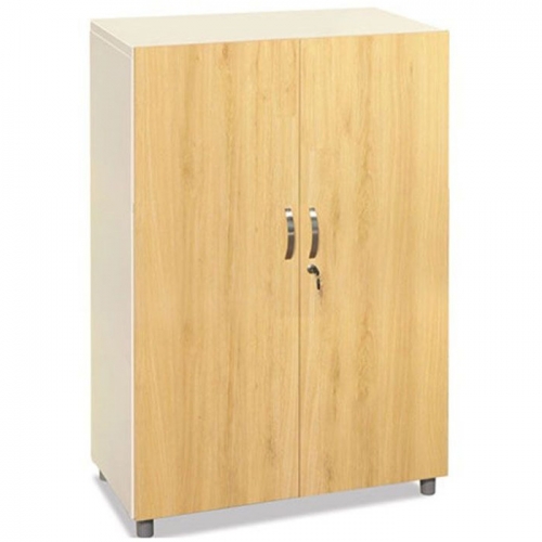 Tủ hiện đại TSG03-2