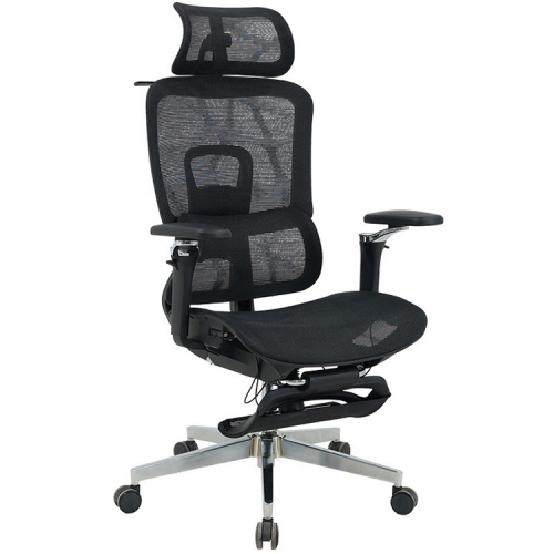 Ghế công thái học GLE25