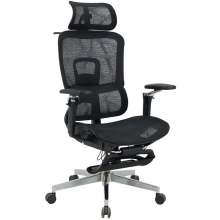 Ghế công thái học GLE25